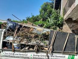 Best Demolition Debris Removal  in Edison, GA