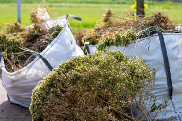 Best Retail Junk Removal  in Edison, GA